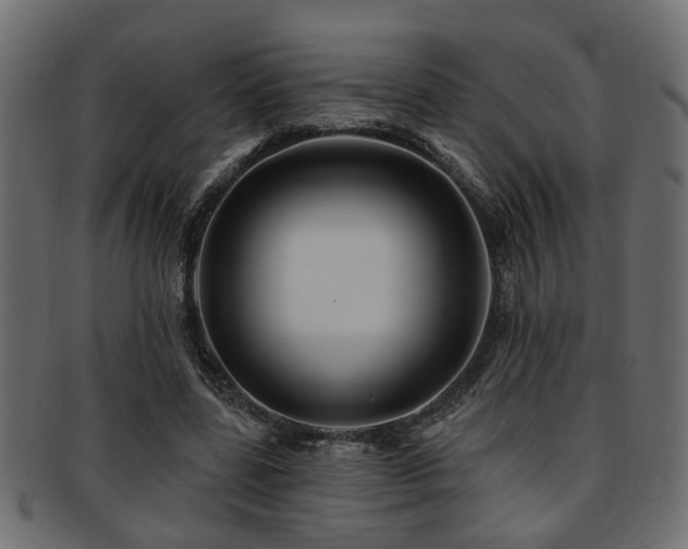 X0000093250539200709261721