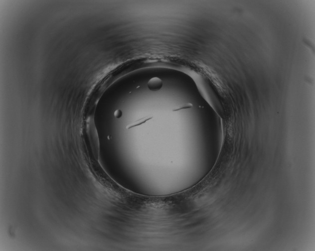 X0000093250540200709261721