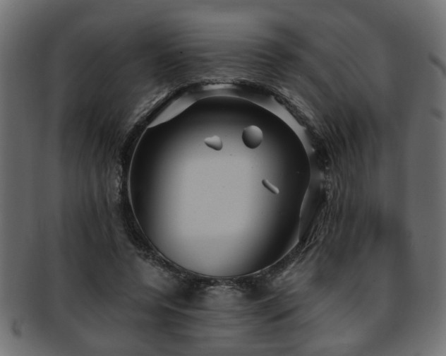 X0000093250544200709261721