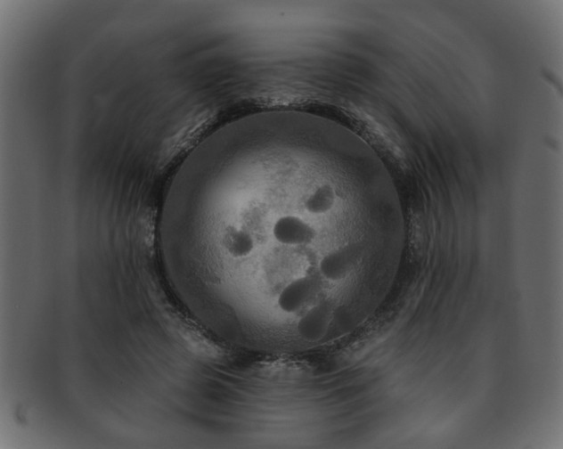 X0000093250545200709261721