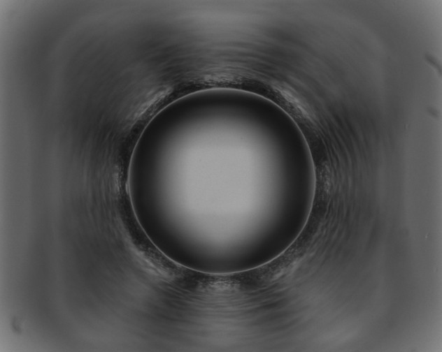 X0000093250546200709261721