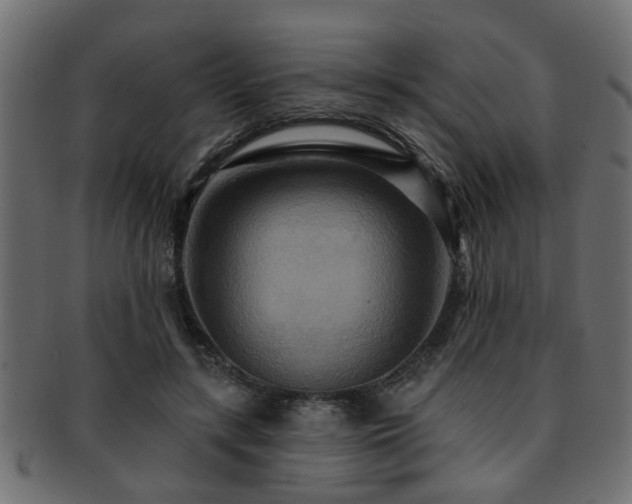 X0000093250547200709261721