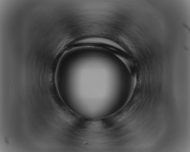 X0000093250548200709261721