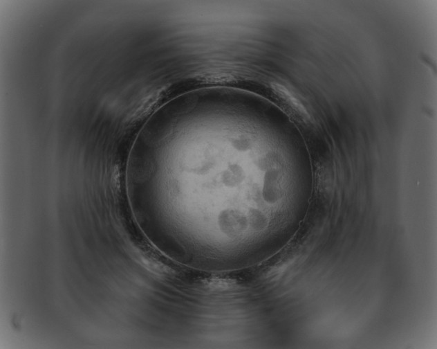 X0000093250549200709261721