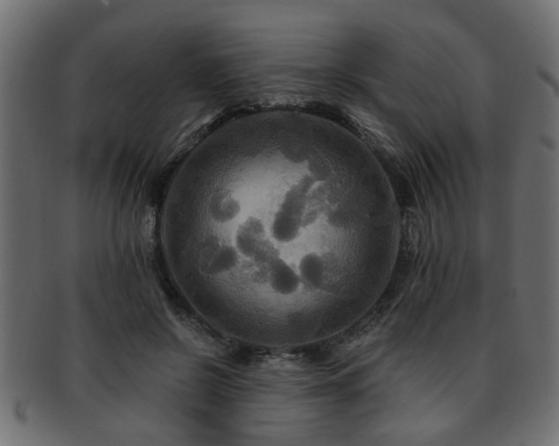 X0000093250550200709261721