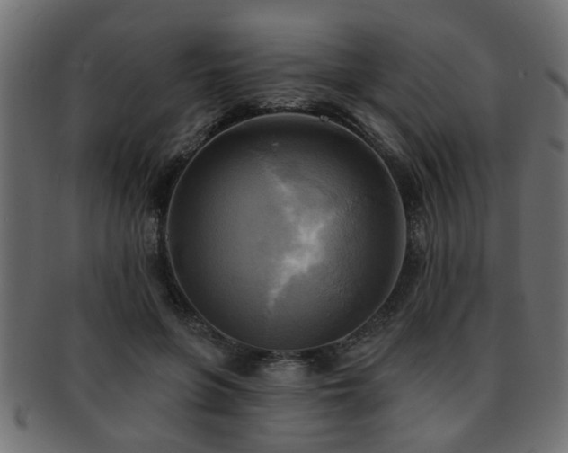 X0000093250551200709261721