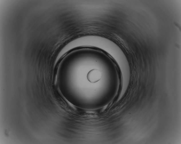 X0000093250552200709261721