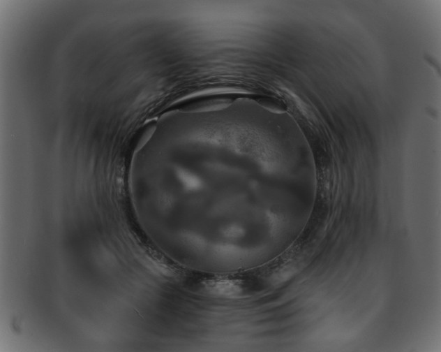 X0000093250553200709261721