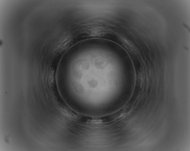 X0000093250554200709261721