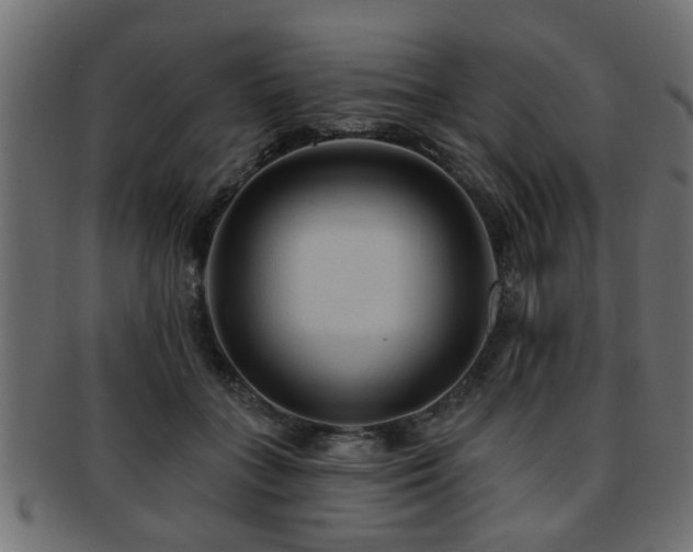 X0000093250555200709261721