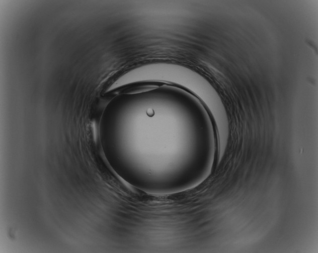 X0000093250556200709261721