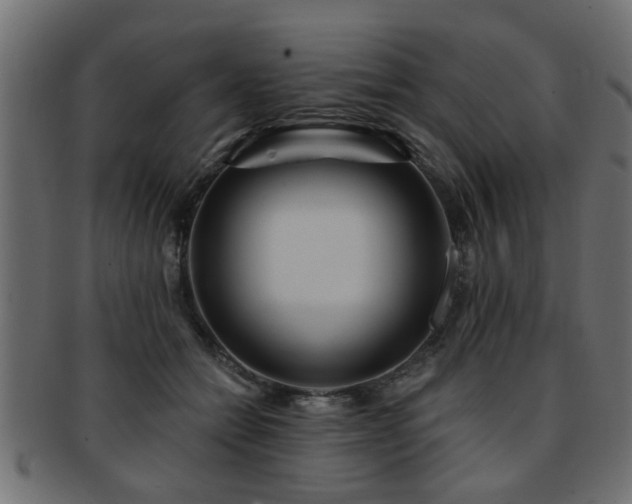 X0000093250558200709261721