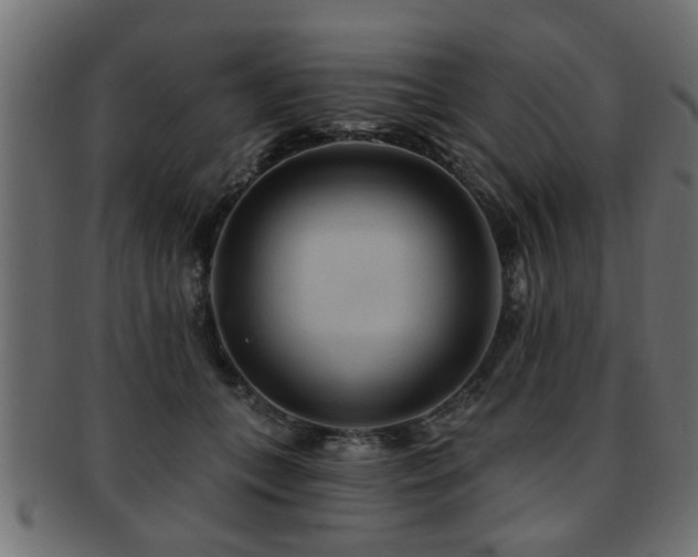 X0000093250559200709261721