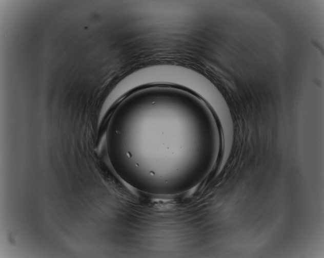 X0000093250560200709261722