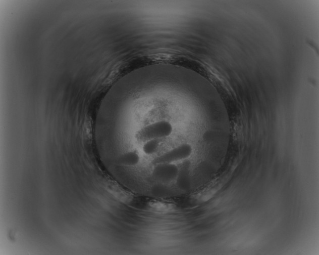 X0000093250561200709261722