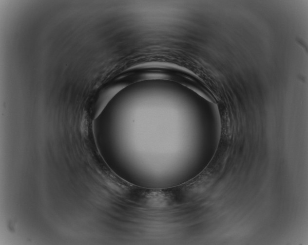 X0000093250562200709261722