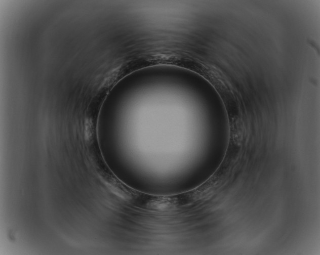 X0000093250563200709261722