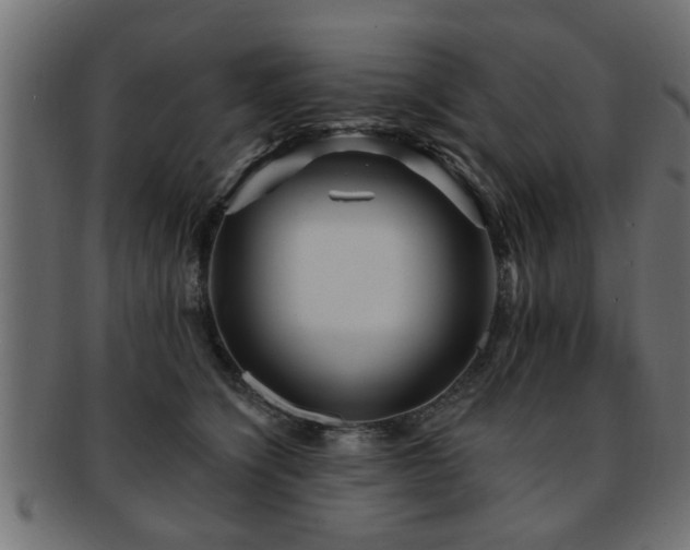 X0000093250564200709261722