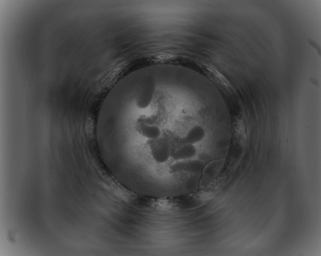 X0000093250565200709261722