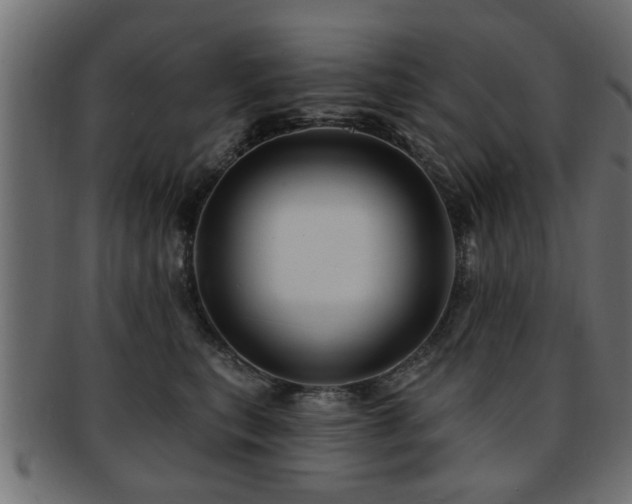 X0000093250567200709261722