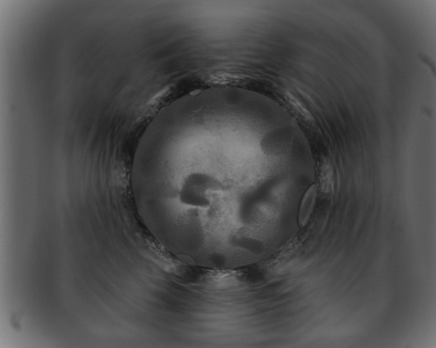 X0000093250569200709261722
