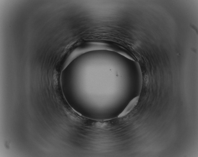 X0000093250570200709261722