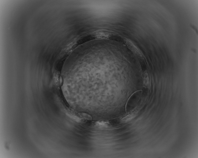 X0000093250573200709261722