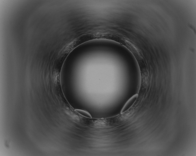 X0000093250574200709261722