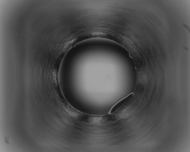 X0000093250575200709261722