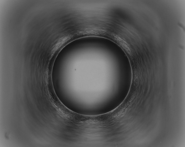 X0000093250578200709261721