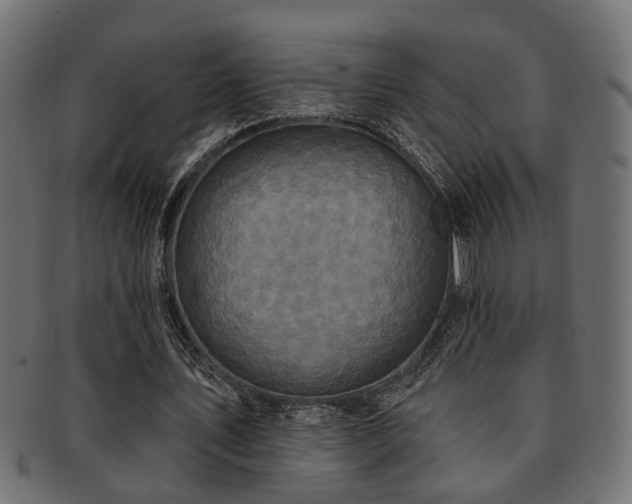 X0000093250579200709261721