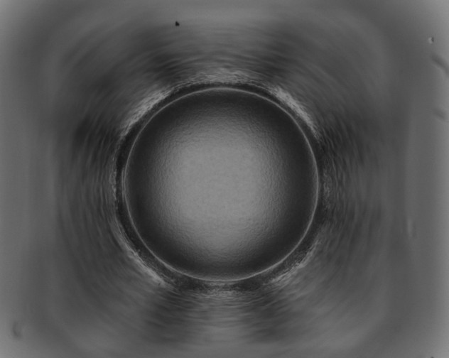 X0000093250581200709261721