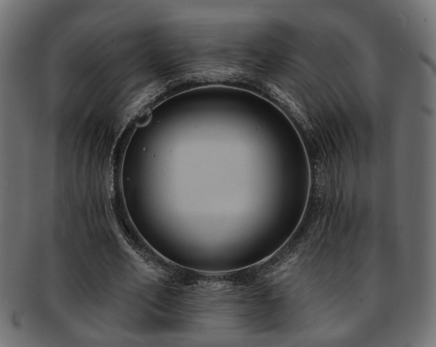 X0000093250582200709261721