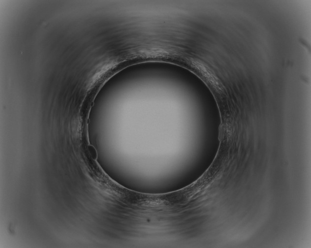 X0000093250583200709261721