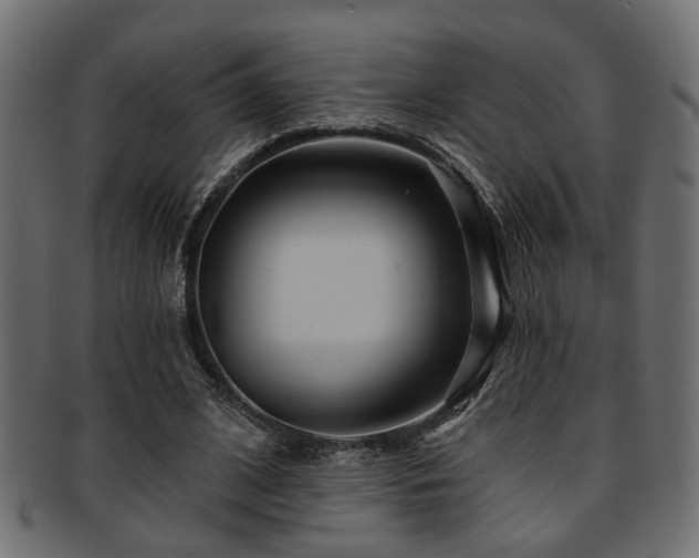 X0000093250584200709261721