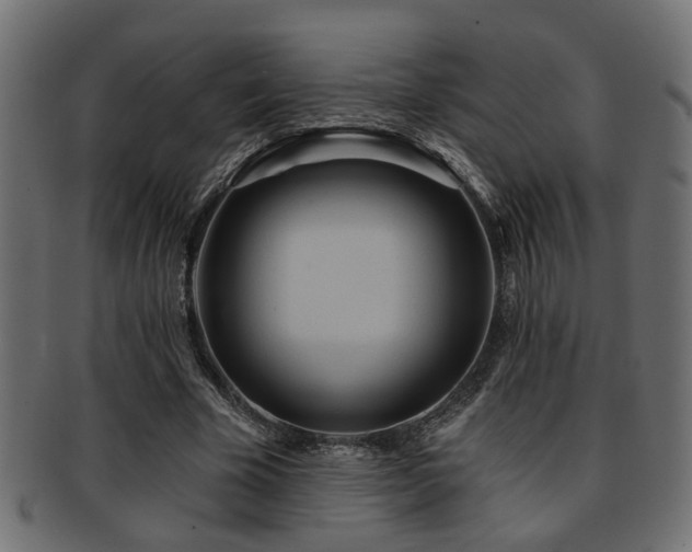 X0000093250585200709261721