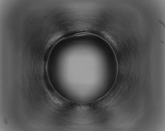 X0000093250586200709261721