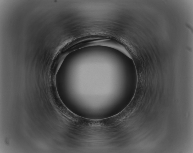 X0000093250587200709261721