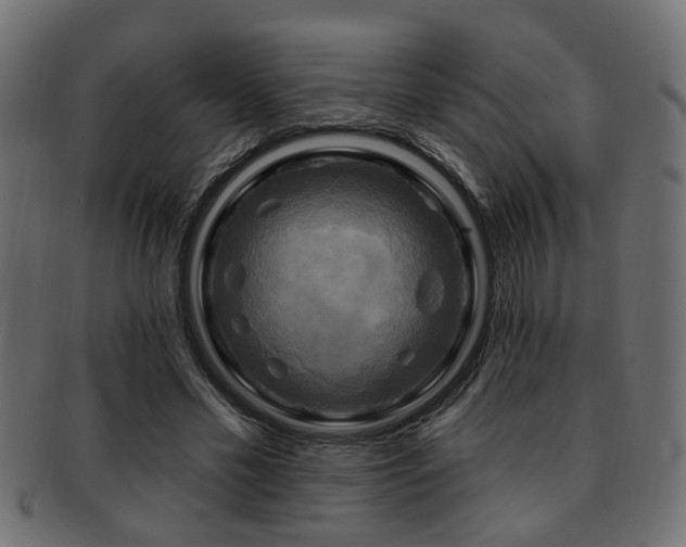 X0000093250589200709261721