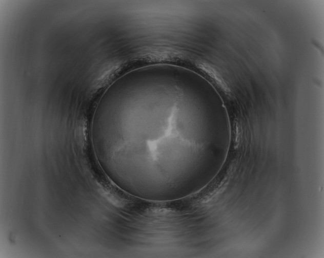 X0000093250590200709261721