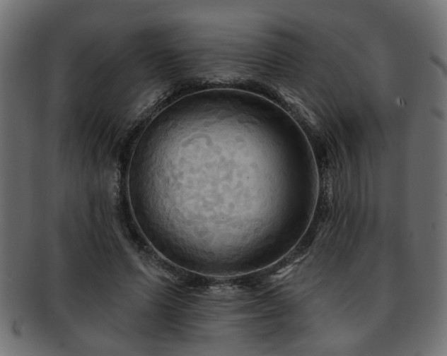 X0000093250591200709261721