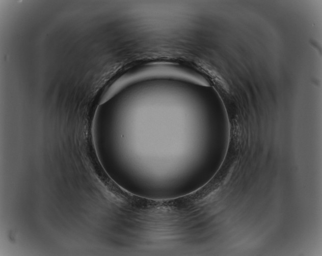 X0000093250593200709261721
