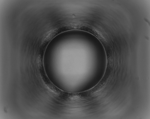 X0000093250594200709261721