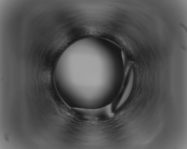 X0000093250595200709261721