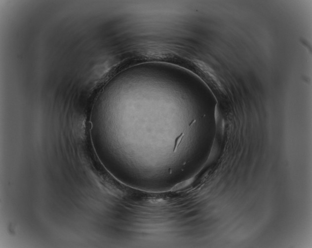 X0000093250596200709261721