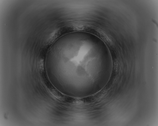 X0000093250598200709261721