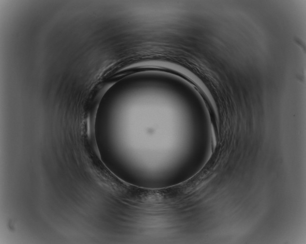 X0000093250600200709261721