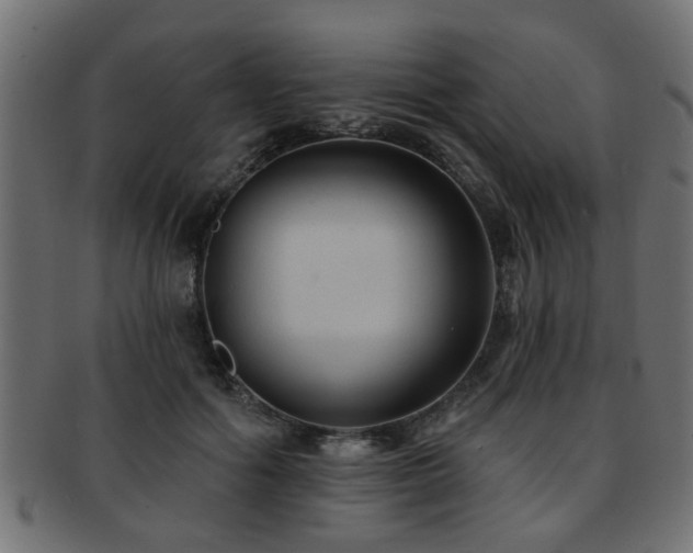 X0000093250602200709261721