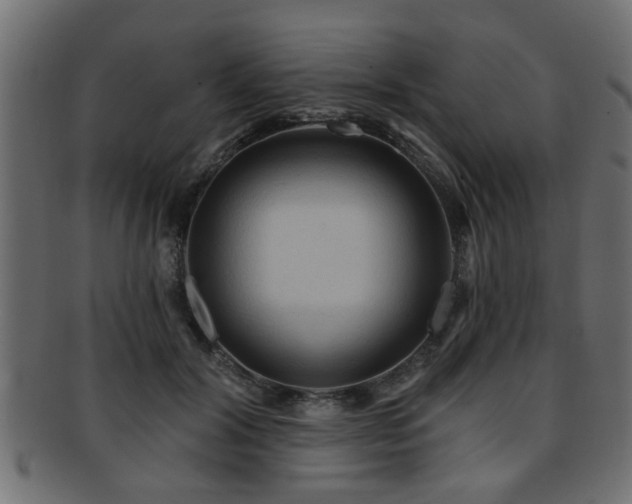X0000093250604200709261721