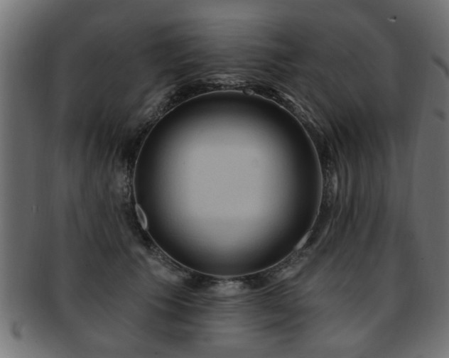 X0000093250609200709261721
